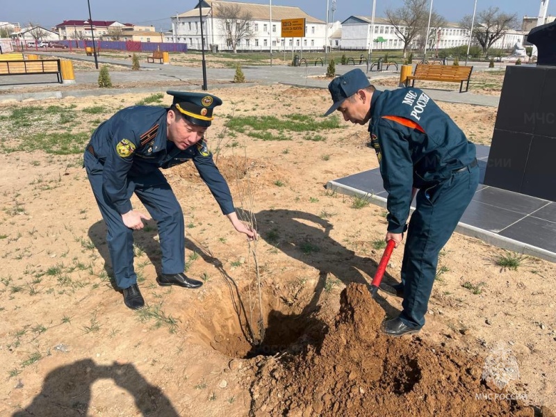 Сотрудники МЧС Калмыкии приняли участие в международной акции «Сад памяти»