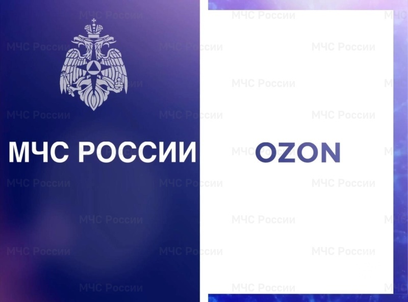 МЧС России во взаимодействии с Ozon запустило информационный проект о пожарной безопасности